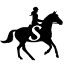 savvyhorsewoman.com