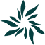 sivanahills.com