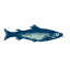 texascoastfishing.com