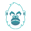 thecryptoape.com