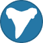 thefossilforum.com