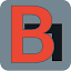 vbgcity.ru