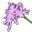 borealgarden.eu