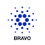 bravostakepool.nl