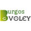 burgosvoley.com