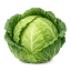 cabbagepatchbar.com