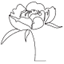 capribloemen.nl