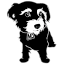 cartermatt.com