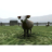 crazycattle3d.com