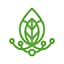 derow.ir