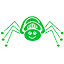 ipv6-spider.com