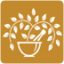 kairali.com