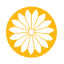 nmarts.org