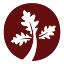oak.africa