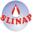 slinap.com.pl