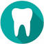 wellingtondentist.co.nz