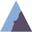 bvderm.com