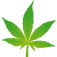 cannaweed.com