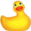 duckexperience.com