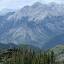 mountainlegacy.ca