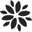 pearsonsflorist.com.au