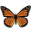 susansmithjones.com