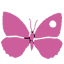 syntego.co.uk