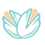 tavazonuts.com