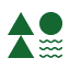 thepracticalforestschool.com