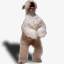 wheatenterrierrescue.org