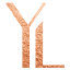 yoseflevy.com