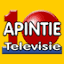 apintie.sr
