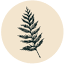 aromaticmedicineschool.com