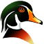 birdsstudio.ru
