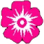 blossomnaillakewoodranch.com