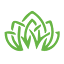cactus-online.net