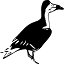 carovacottages.com