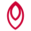 docomopacific.com
