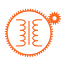 dpe.co.za