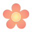 kvitkainfo.com