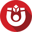 magnet.ro