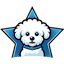 smallpawsrescue.org