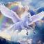 spirit.org.nz