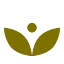 thepucicpalace.com