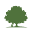 treehousecollective.us