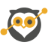 wise-owl.com