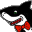 bshark.org
