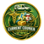 currentcourier.com