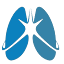 drgeorgethoracic.com