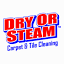 dryorsteam.com